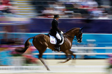 Equestrian Sport Psychology